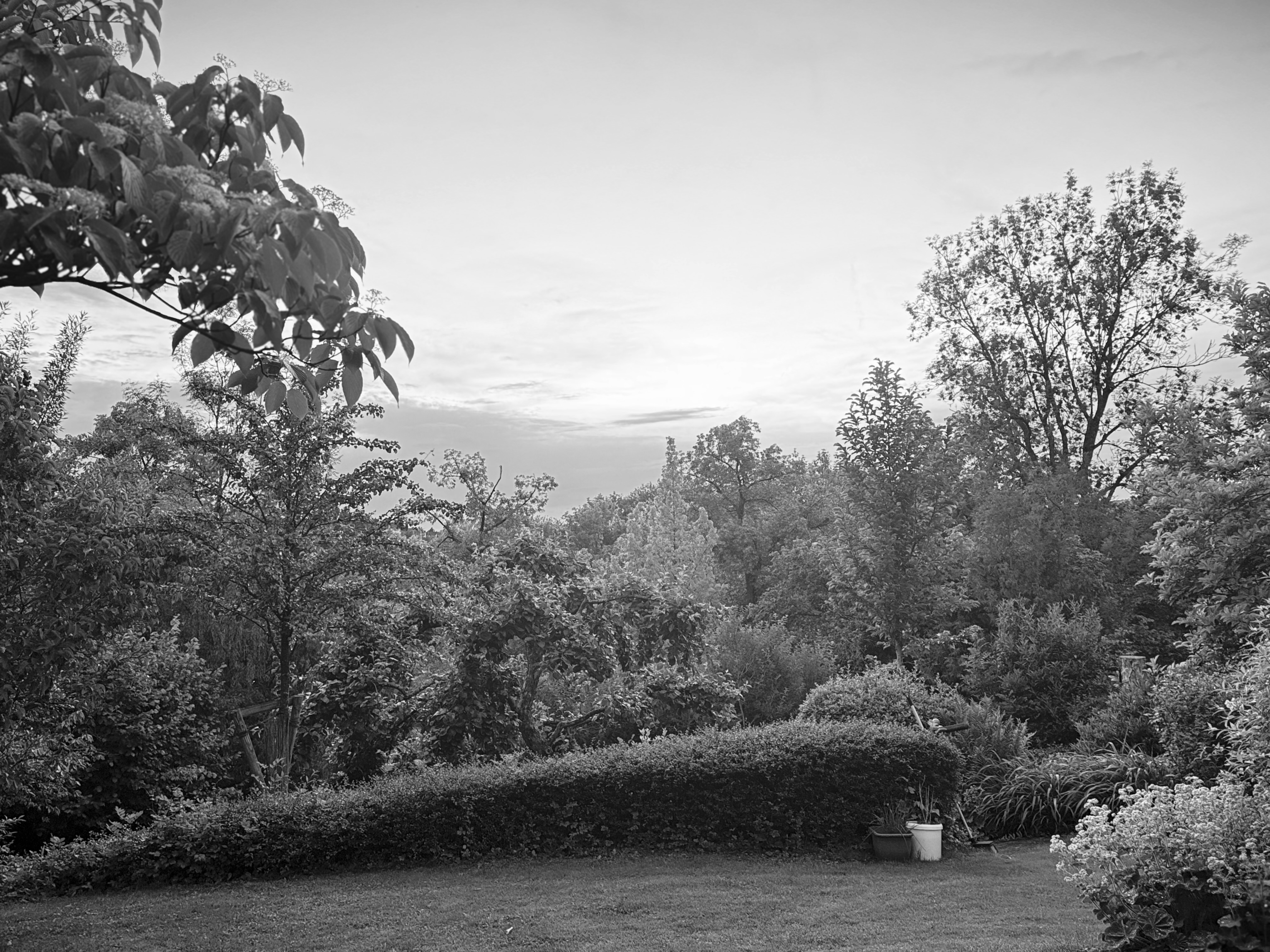 welcome-home-garden.jpg
